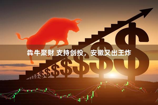 犇牛聚财 支持创投，安徽又出王炸