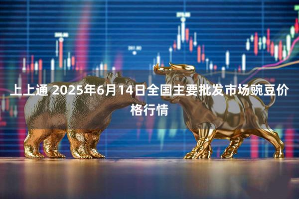 上上通 2025年6月14日全国主要批发市场豌豆价格行情
