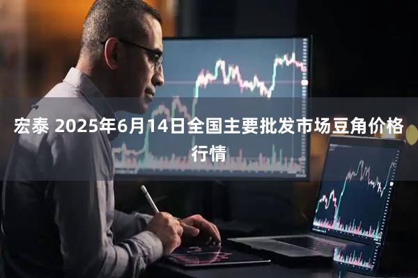 宏泰 2025年6月14日全国主要批发市场豆角价格行情