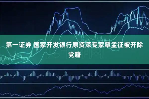 第一证券 国家开发银行原资深专家覃孟征被开除党籍