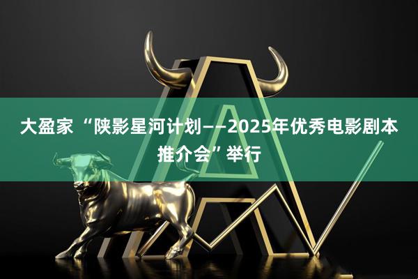大盈家 “陕影星河计划——2025年优秀电影剧本推介会”举行