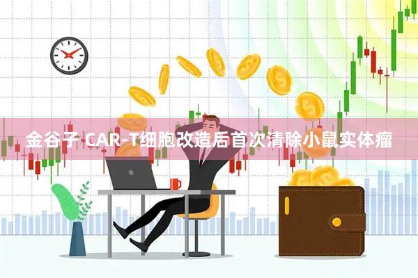 金谷子 CAR-T细胞改造后首次清除小鼠实体瘤